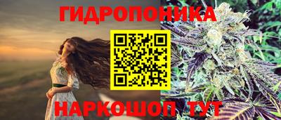 стаф Комсомольск-на-Амуре