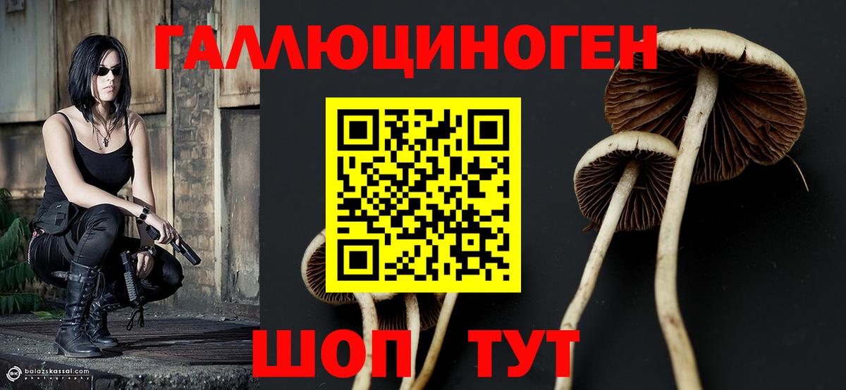 Псилоцибиновые грибы MAGIC MUSHROOMS  Галлюциногенные грибы ЛСД  Вход с VPN  Юрга 