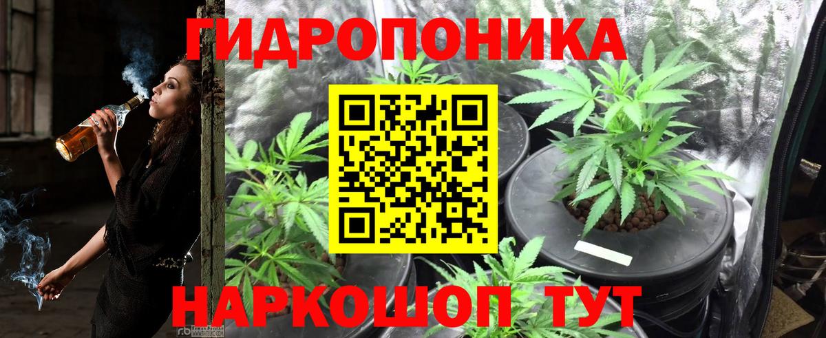 Канабис индика Юрга